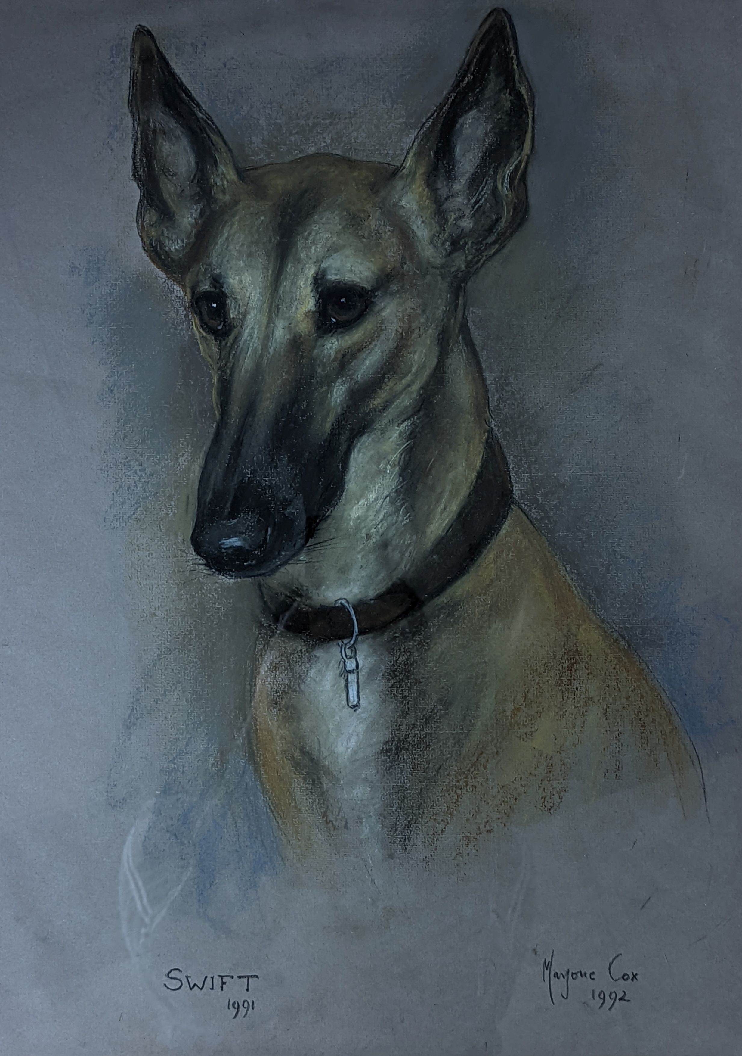 Marjorie Cox (1915-2003), pastel, Portrait of a dog, signed and dated 1992, 49 x 36cm